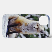 Rode Vos zittend op sneeuwbank, Vulpes, Mt. Case-Mate iPhone Case (Achterkant (horizontaal))
