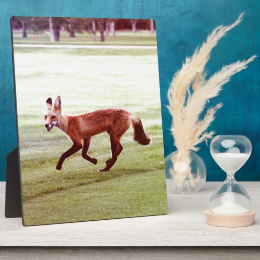 rode vosfoto fotoplaat (Zijkant)