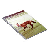 rode vosfoto notitieboek (Rechterzijde)