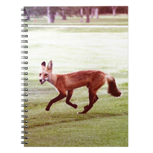 rode vosfoto notitieboek (Voorkant)