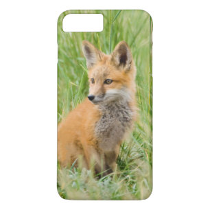 Rode voskit in gras bij hol iPhone 8/7 plus hoesje