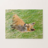 Rode voskit in gras bij hol legpuzzel (Horizontaal)