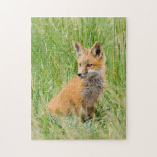 Rode voskit in gras bij hol legpuzzel