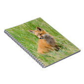 Rode voskit in gras bij hol notitieboek (Rechterzijde)