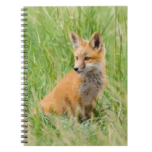 Rode voskit in gras bij hol notitieboek (Voorkant)