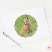Rode voskit in gras bij hol ronde sticker (Envelop)