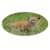 Rode voskit in gras bij hol snijplank (Hoek)