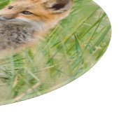 Rode voskit in gras bij hol snijplank (Hoek)