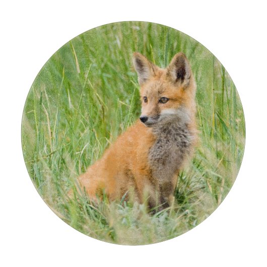 Rode voskit in gras bij hol snijplank (Voorkant)