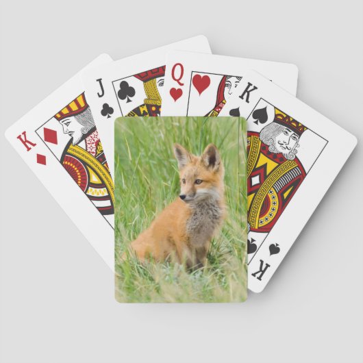 Rode voskit in gras bij hol speelkaarten (Achterkant)
