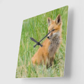 Rode voskit in gras bij hol vierkante klok (Hoek)