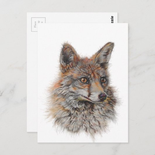 rode vossen briefkaart (Voorkant / Achterkant)