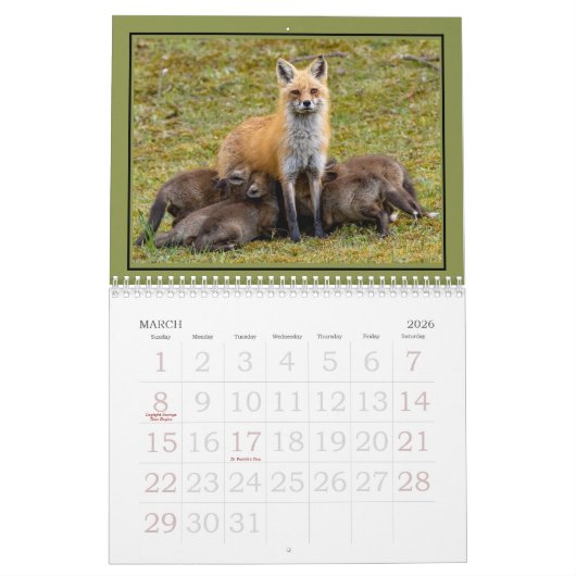 Rode vossen door het jaar kalender (Mar 2026)