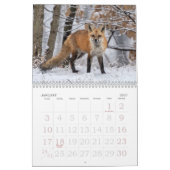 Rode vossen het hele jaar kalender (Jan 2027)