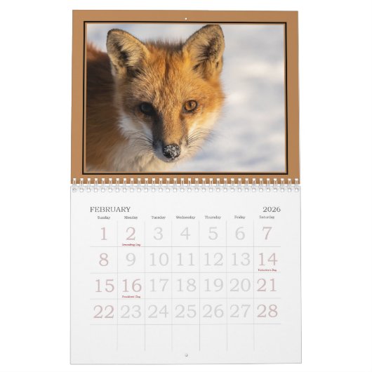 Rode vossen het hele jaar kalender (Feb 2026)