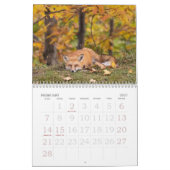 Rode vossen in de herfstkalender kalender (Feb 2027)