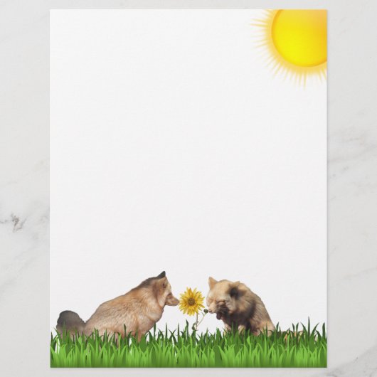 Rode vossen stoeien met zonnebloem briefpapier (Voorkant)