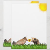 Rode vossen stoeien met zonnebloem briefpapier (Voorkant / Achterkant)
