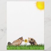 Rode vossen stoeien met zonnebloem briefpapier (Achterkant)