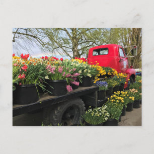 Rode vrachtwagen met lentebloemen en regenboog briefkaart