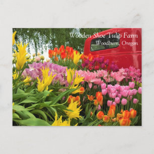 Rode vrachtwagen met tulpen, Oregon ansichtkaart Briefkaart