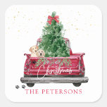 rode vrachtwagen | Pawprint Christmas Vierkante Sticker<br><div class="desc">Schattige kerst  rode truck met versierde kerstboom en Golden Retriever puppies voor het feestelijke seizoen! Aangepaste naamfunctie met eenvoudige online editor. 1, 5 inch / 20 inch per vel.</div>