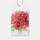 Rode waratabloem waterverf cadeau label cadeaulabel (Voorkant)
