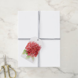 Rode waratabloem waterverf cadeau label cadeaulabel