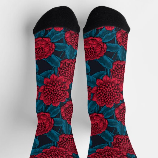 Rode waratah bloemen sokken (Top)