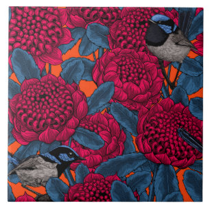 Rode waratah en feewinterkoninkjes tegeltje