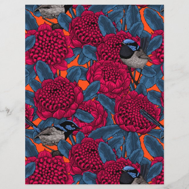 Rode waratah en sprookjes (Voorkant)