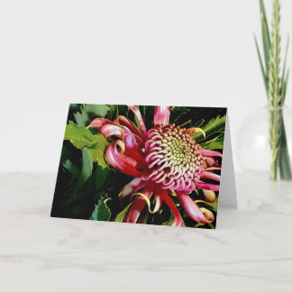 rode waratah feestdagen kaart