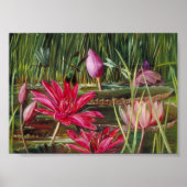 Rode Waterlelie van India - Marianne Noord Poster (Voorkant)