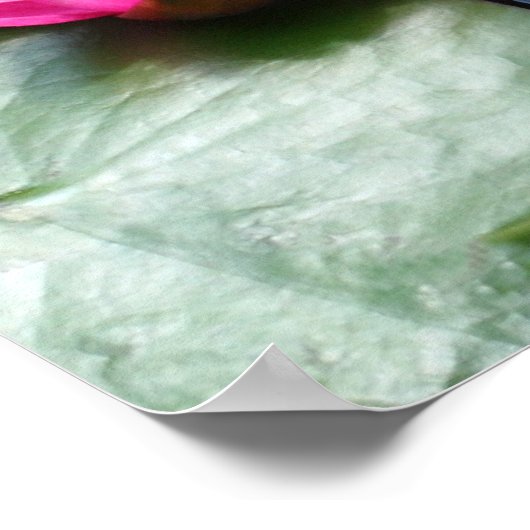 Rode waterlio's - Canvasprinters Poster (Hoek)