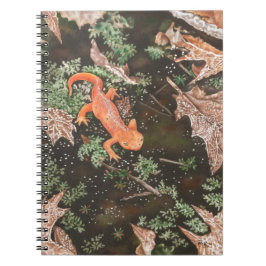 Rode watersalamander notitieboek