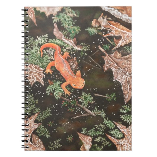 Rode watersalamander notitieboek (Voorkant)