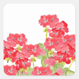 Rode Waterverf Geraniums Vierkante Sticker