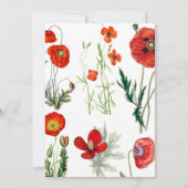 Rode Waterverf Poppies Florals Baby shower Kaart (Achterkant)