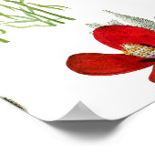 Rode Waterverf Poppies Florals Poster (Hoek)