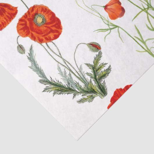 Rode Waterverf Poppies Florals Tissuepapier (Detail)