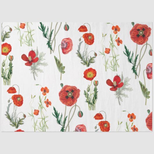 Rode Waterverf Poppies Florals Tissuepapier (Voorkant)
