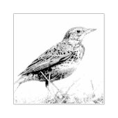 Rode Weidespreeuw Postzegel Rubberstempel (Afrduk)