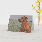 Rode Wenskaart Kaart (Gele Bloem)