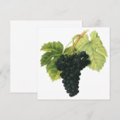  rode wijn, organisch wijndruivencluster, voedings (Voorkant / Achterkant)