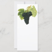  rode wijn, organisch wijndruivencluster, voedings (Achterkant)