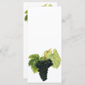  rode wijn, organisch wijndruivencluster, voedings (Voorkant / Achterkant)