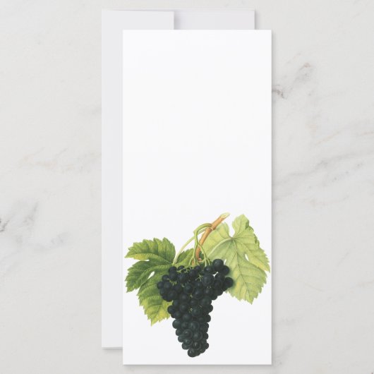  rode wijn, organisch wijndruivencluster, voedings (Voorkant)