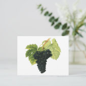  rode wijn, organisch wijndruivencluster, voedings briefkaart (Staand voorkant)