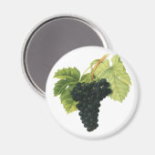  rode wijn, organisch wijndruivencluster, voedings magneet (Voorkant / Achterkant)