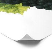  rode wijn, organisch wijndruivencluster, voedings poster (Hoek)